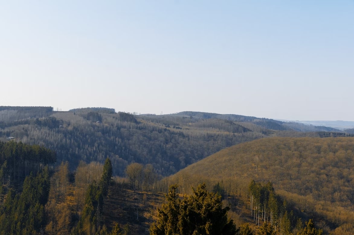 Afbeelding met uitzicht op het landschap van België